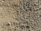 Gold Nugget Decomposed Granite