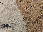 Gold Nugget Decomposed Granite