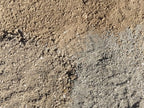 Gold Nugget Decomposed Granite