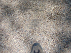 Imperial Del Rio Pebbles