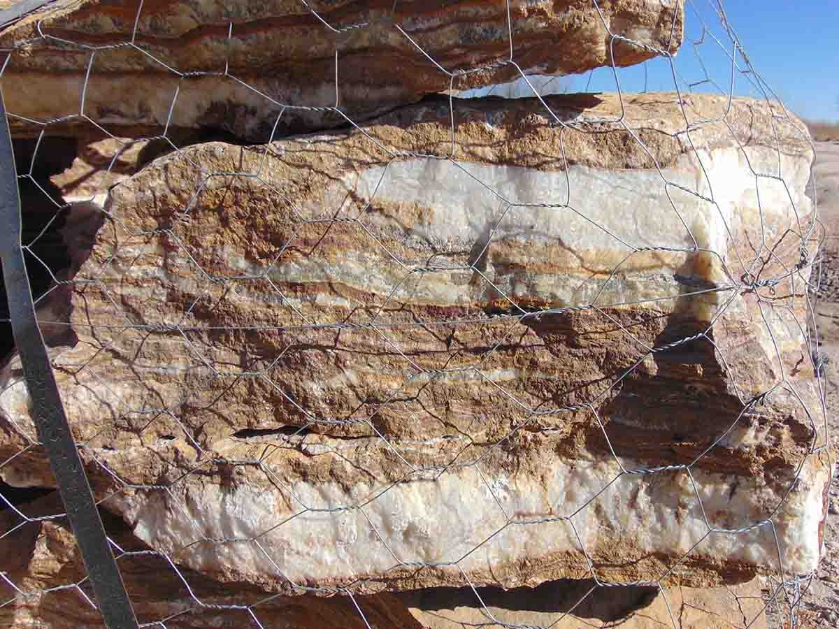 Onyx Brown