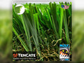Diamond Pro Spring Grass (60 oz)