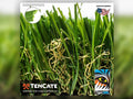 Diamond Supreme Fescue Grass (60 oz)