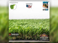 Everglade Fescue Grass (60 oz)