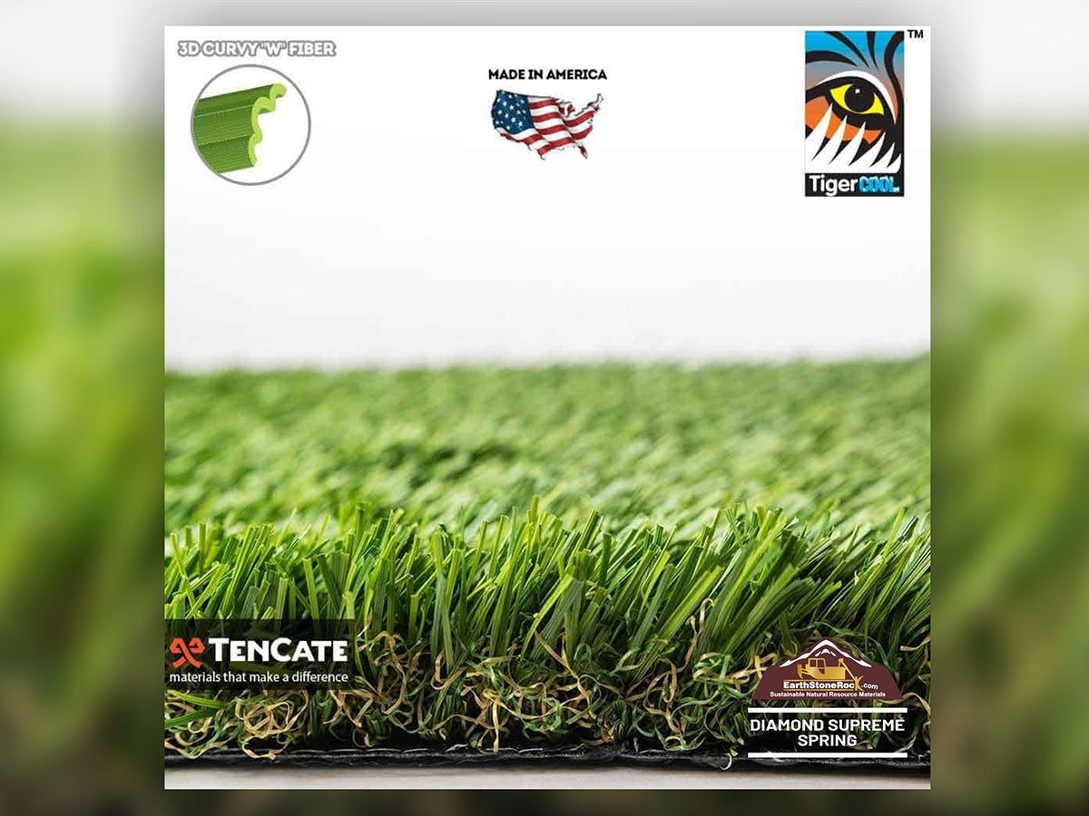 Everglade Fescue Grass (60 oz)