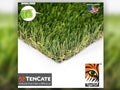 Everglade Fescue Pro Grass