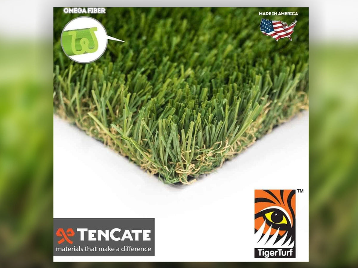 Everglade Fescue Pro Grass