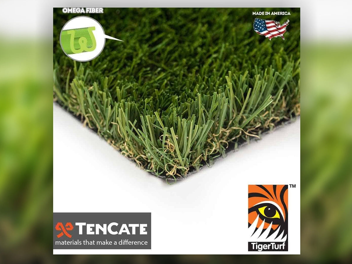 Everglade Fescue Light Grass (60 oz)
