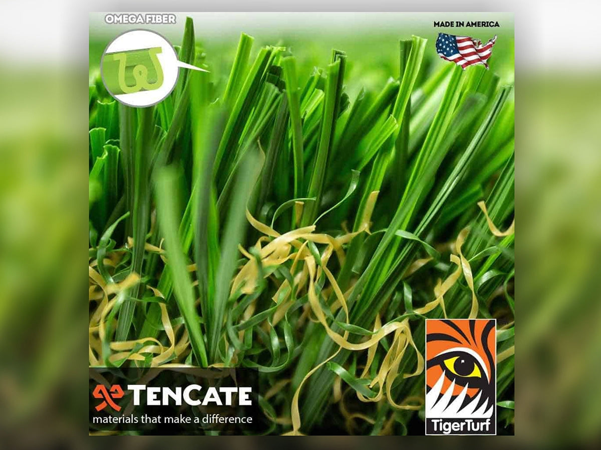 Everglade Spring Grass (60 oz)