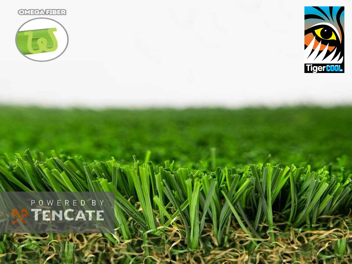 Everglade Spring Pro Grass