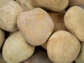 Niagara Yellow Pebbles
