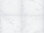 Praia Carrara Pavers 24" x 24"