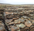 Cascade Mossy Stepstone on pallets at the quarry, sandstone with moss and lichen