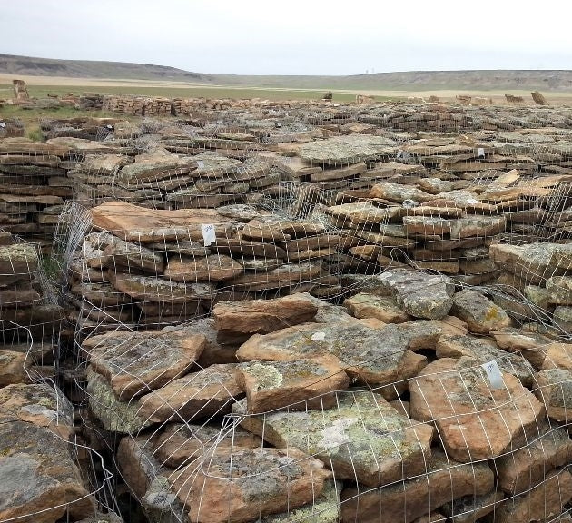 Cascade Mossy Stepstone on pallets at the quarry, sandstone with moss and lichen