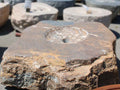Natural stone boulder fire pit