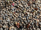 Noiyo River Rock