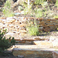 Autumn Gold Flagstone