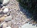Santa Maria Float River Rock