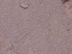 Baja Brown Decomposed Granite