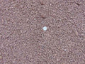 Baja Brown Decomposed Granite