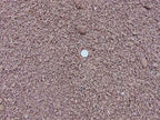 Baja Brown Decomposed Granite