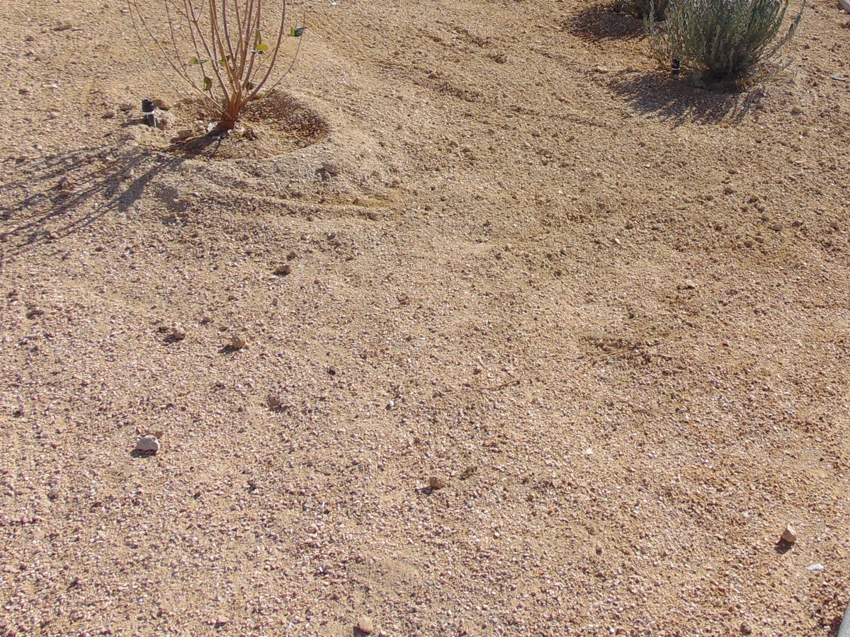 California Gold Decomposed Granite