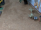 California Gold Decomposed Granite