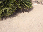 Desert Rose Decomposed Granite