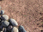 Desert Pink Decomposed Granite