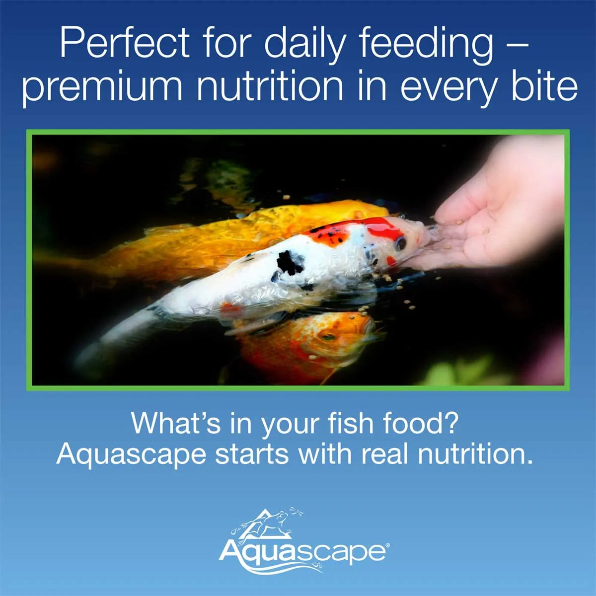 Premium Staple Fish Food-Small Pellets - 1.1 Lb / 500 G – image 6