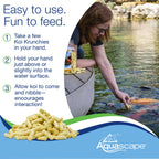 Koi Krunchies - 14.1 Oz / 400 G – image 5