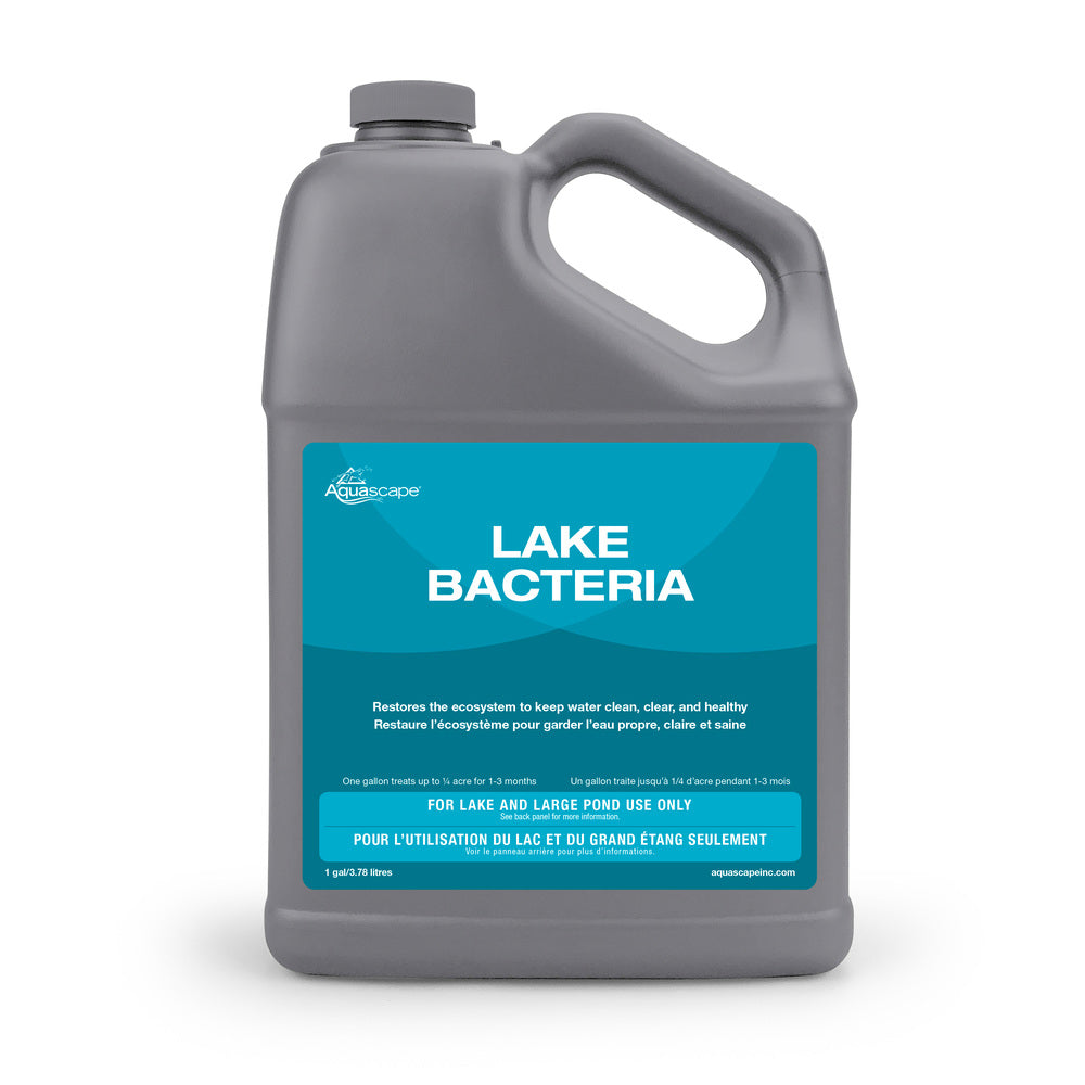 Lake Bacteria - 1 Gal / 3.78 L