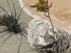 Surf Green Decomposed Granite