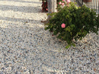 Black and White Zen Pebbles