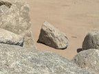 Cresta Grey Granite