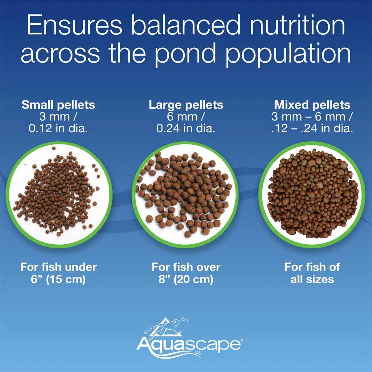 Premium Staple Fish Food-Small Pellets - 1.1 Lb / 500 G – image 7