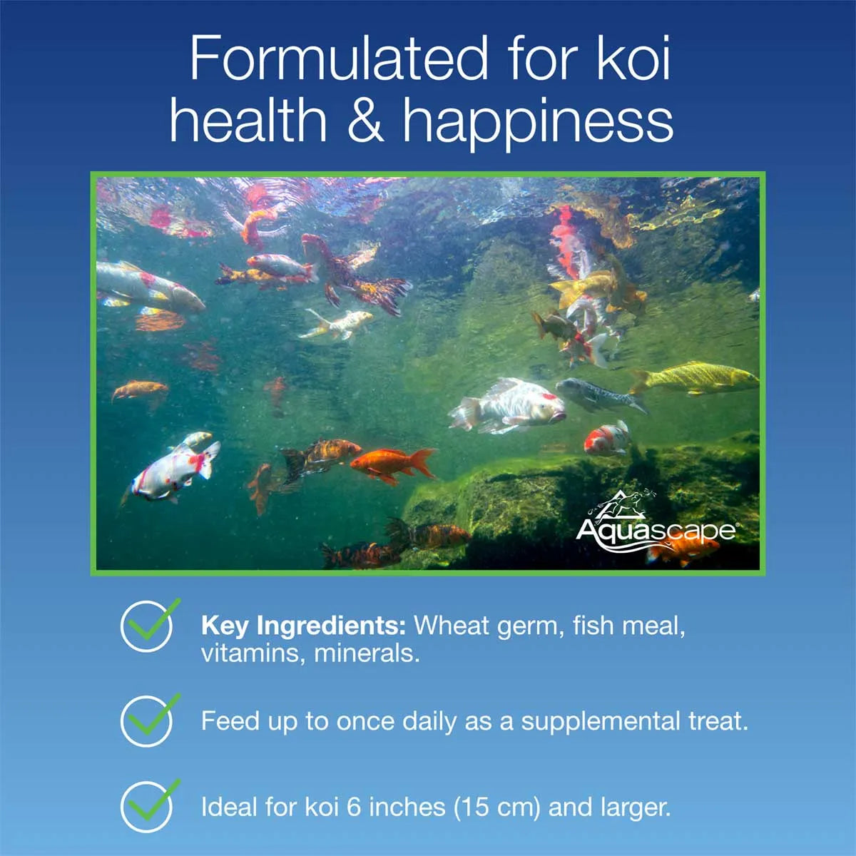 Koi Krunchies - 14.1 Oz / 400 G – image 6