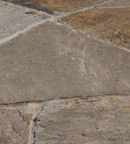 Oklahoma Dark Flagstone