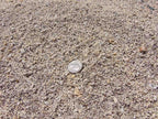 Salt n Pepper White Decomposed Granite
