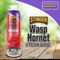Bonide Stinger Wasp, Hornet, & Yellow Jacket Foam