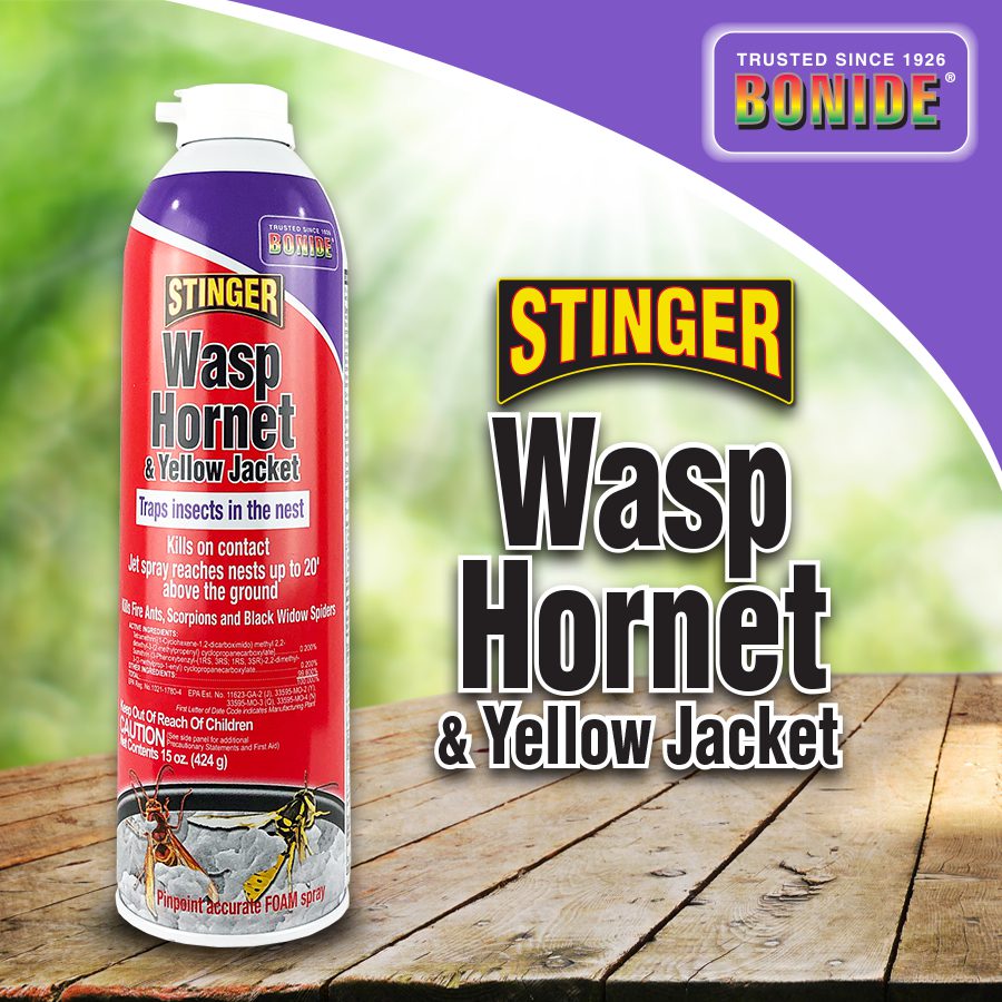Bonide Stinger Wasp, Hornet, & Yellow Jacket Foam