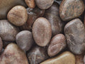 Red Polished Pebbles