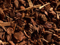 Fir Tree Bark 1"- 3"