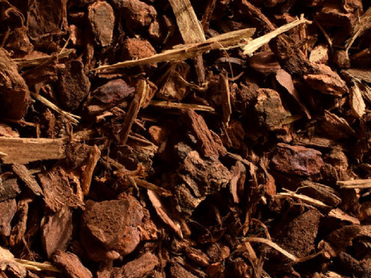 Fir Tree Bark 1"- 3"