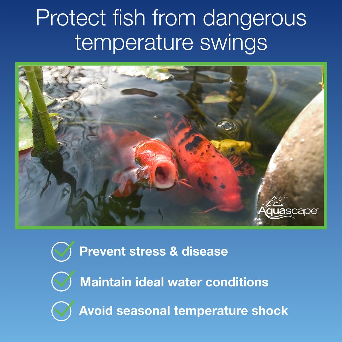 Smart Pond Thermometer – image 4