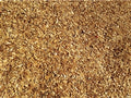 Playground Surface Material