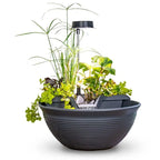 Aquagarden Tabletop Fountain Kit Mocha – image 5