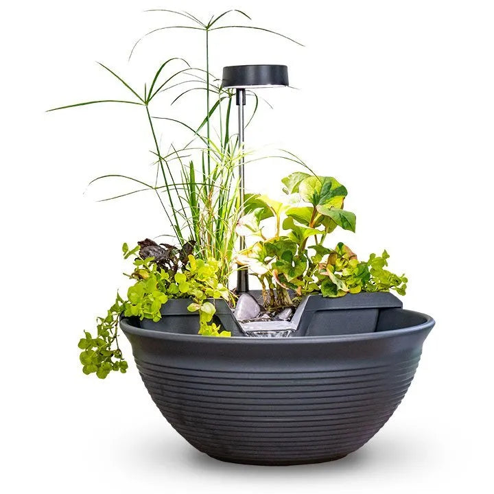 Aquagarden Tabletop Fountain Kit Mocha – image 5