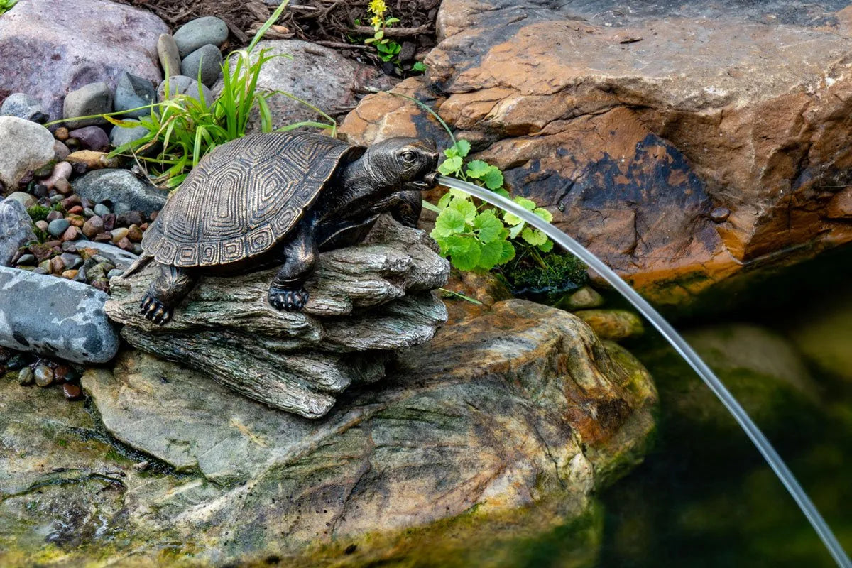 Turtle On Log Spitter – image 8