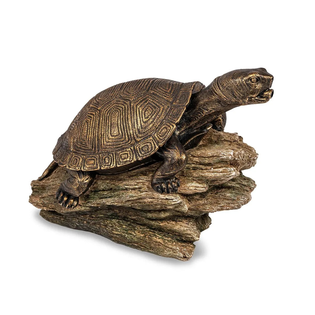 Turtle On Log Spitter – image 4